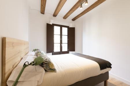 Wohnung zur Miete in Barcelona Joaquim Costa - Peu De La Creu (10 Months Minimum)