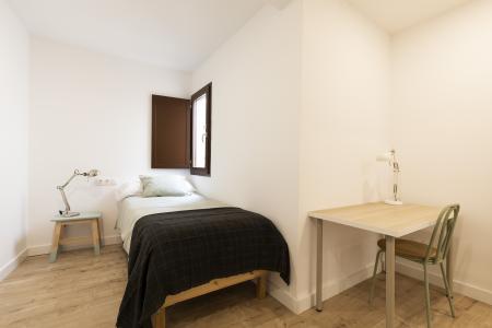 Wohnung zur Miete in Barcelona Joaquim Costa - Peu De La Creu (10 Months Minimum)