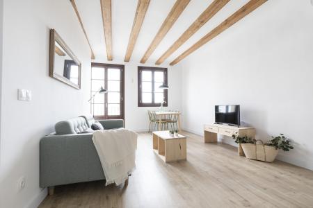 Appartement te huur in Barcelona Macba - Plaça Universitat
