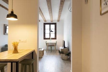 Appartement te huur in Barcelona Macba - Plaça Universitat