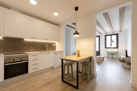 Appartement te huur in Barcelona Macba - Plaça Universitat