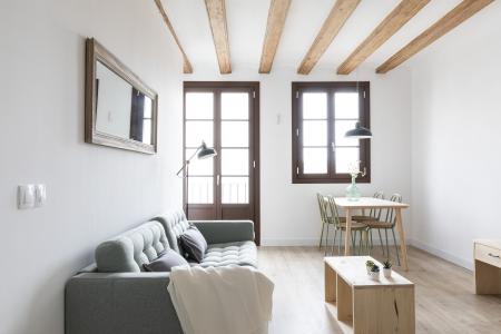 Appartement te huur in Barcelona Macba - Plaça Universitat