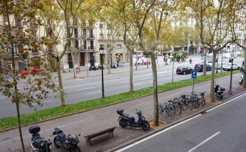 Piso en Alquiler en Barcelona Avenida Diagonal - Passeig Sant Joan