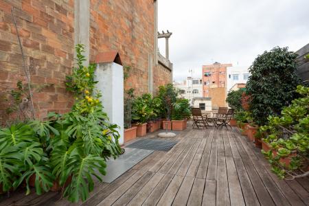 Appartement te huur in Barcelona Josep Torres - Fraternitat (until Mid September)