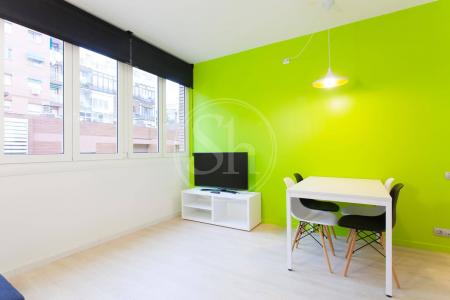 Appartement te huur in Barcelona Passatge Valeri Serra-diputació (parking Optional)