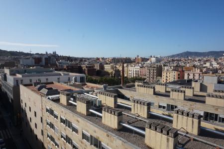 Pis en Lloguer a Barcelona Av Drassanes - Nou De La Rambla