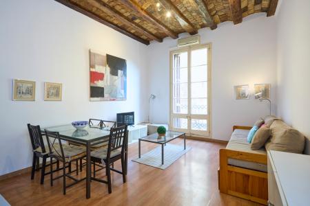 Pis en Lloguer a Barcelona Borrell - Tamarit