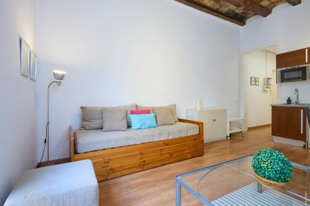 Pis en Lloguer a Barcelona Borrell - Tamarit