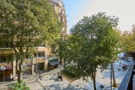 Pis en Lloguer a Barcelona Borrell - Tamarit