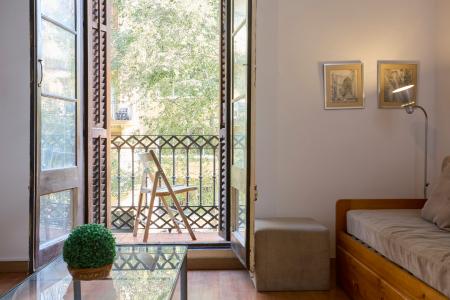 Pis en Lloguer a Barcelona Borrell - Tamarit