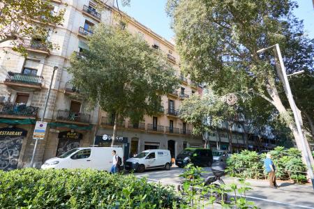 Pis en Lloguer a Barcelona Borrell - Tamarit