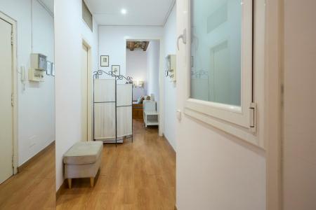 Pis en Lloguer a Barcelona Borrell - Tamarit