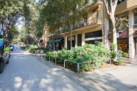 Pis en Lloguer a Barcelona Borrell - Tamarit