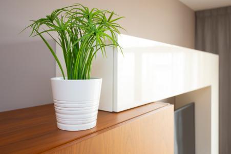 Appartement te huur in Barcelona Gran Via - Tetuan