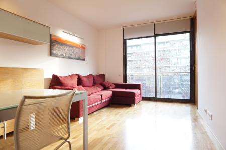 Apartment for Rent in Barcelona Pistó - Plaça Can Robacols