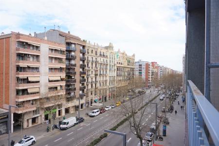 Piso en Alquiler en Barcelona Paral·lel - Tamarit