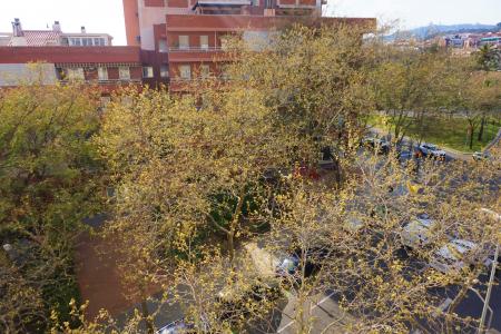 Appartamento in Affitto a Barcelona Padilla - Ronda Del Guinardó