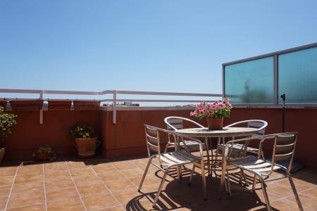 Ático en Alquiler en Barcelona Gran De Sant Andreu - Palomar