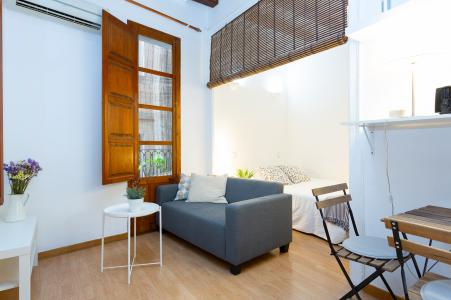 Piso en venta en Barcelona Sant Pere Mitjà - Mare De Deú Del Pilar