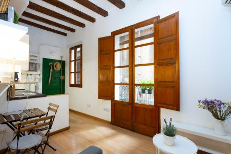 Piso en venta en Barcelona Sant Pere Mitjà - Mare De Deú Del Pilar