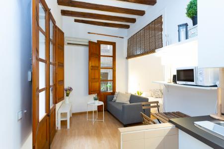 Piso en venta en Barcelona Sant Pere Mitjà - Mare De Deú Del Pilar
