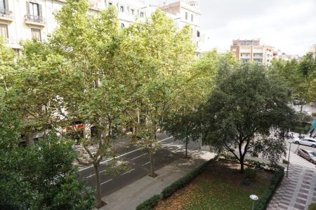 Piso en Alquiler en Barcelona Bailèn - Còrsega