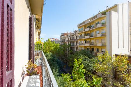 Appartamento in Affitto a Barcelona Villarroel - Consell De Cent