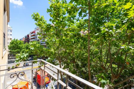 Piso en Alojamientos turísticos en Barcelona Industria - Avenida Gaudi