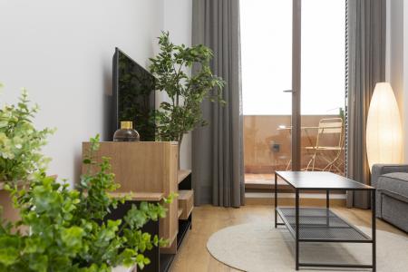 Appartement te huur in Barcelona Passeig De Sant Joan - Arc De Triomf