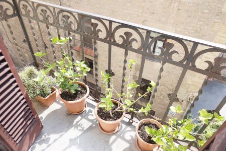 Appartement à louer à Barcelona Ample - Plaça De La Mercè