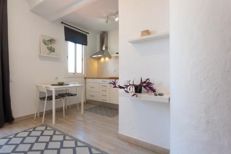 Loft te huur in Barcelona Ample - Avinyó