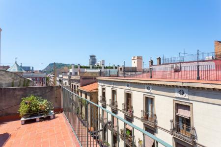 Loft te huur in Barcelona Ample - Avinyó