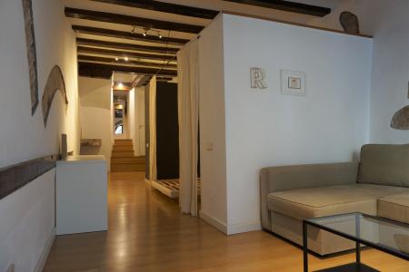 Appartement te huur in Barcelona Llibreteria - Plaça Sant Jaume (iva Incluido)