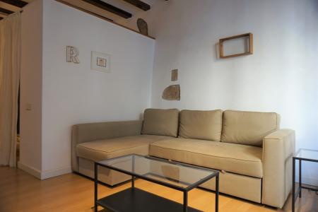Appartement te huur in Barcelona Llibreteria - Plaça Sant Jaume (iva Incluido)