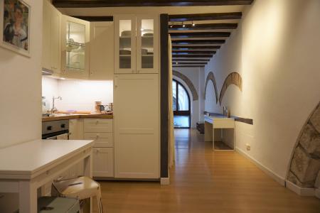 Appartement te huur in Barcelona Llibreteria - Plaça Sant Jaume (iva Incluido)