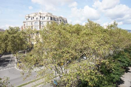 Appartement te huur in Barcelona Passeig De Sant Joan - Arc Del Triomf