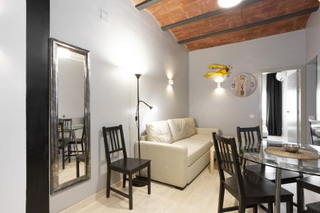 Appartement te huur in Barcelona Mèxic - Plaza Espanya