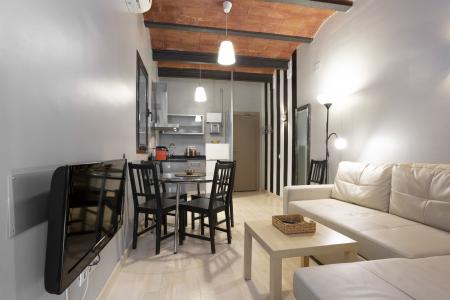 Appartement te huur in Barcelona Mèxic - Plaza Espanya