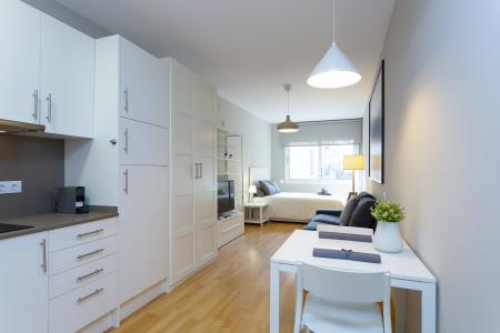 Студия в аренду в Barcelona Saragossa - Padua