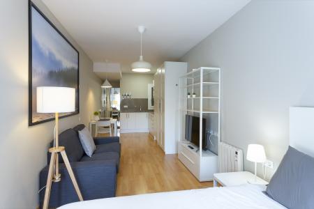 Студия в аренду в Barcelona Saragossa - Padua