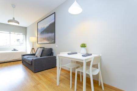 Студия в аренду в Barcelona Saragossa - Padua