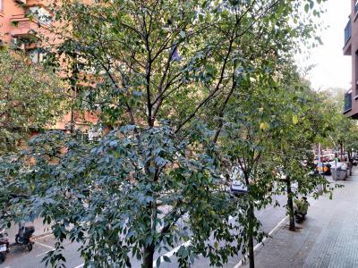 Pis en Lloguer a Barcelona Mallorca - Muntanya