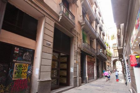 Pis en Lloguer a Barcelona Vidre - Placa Reial