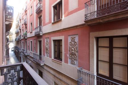 Pis en Lloguer a Barcelona Vidre - Placa Reial