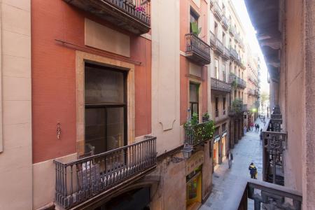 Pis en Lloguer a Barcelona Vidre - Placa Reial