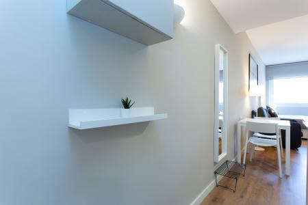 Estudi en Lloguer a Barcelona Saragossa - Padua