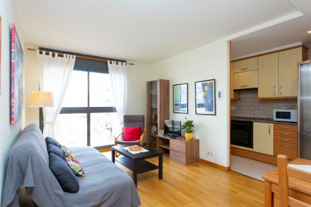 Appartamento in Affitto a Barcelona Sant Quinti - Trobador (parking Optional)
