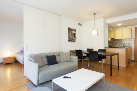 Appartement te huur in Barcelona Alegre De Dalt - Travessera De Dalt