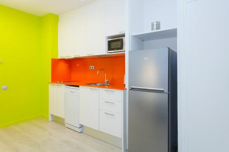 Wohnung zur Miete in Barcelona Passatge Valeri Serra-diputació (parking Optional)