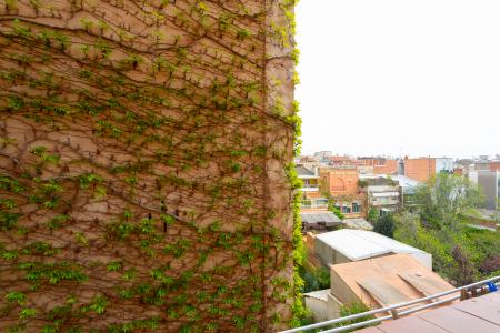 Studio para Alugar em Barcelona Saragossa - Padua